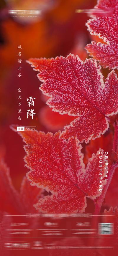 南门网 海报 二十四节气 霜降 树叶 枫叶 冰霜 霜
