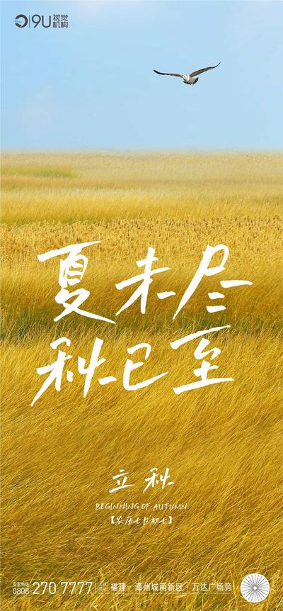 【南门网】海报 二十四节气 立秋   秋天   飞鸟 草原