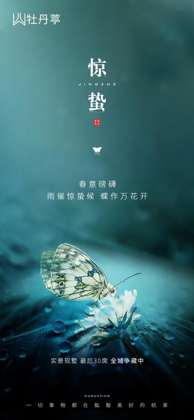 南门网 海报 惊蛰 二十四节气 蝴蝶