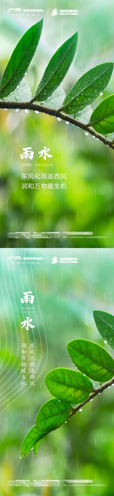 南门网 海报  房地产  雨水  二十四节气  叶子