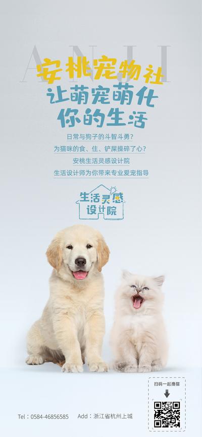 【南门网】海报 宠物社 宠物 猫狗 简约