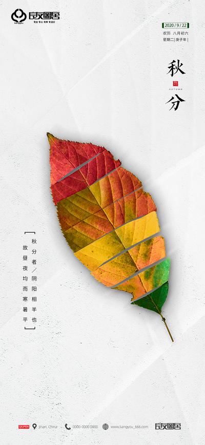 南门网 海报 房地产 二十四节气 秋分 树叶