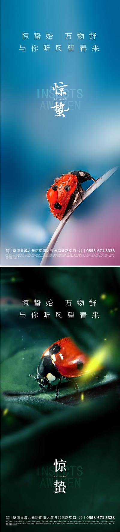 南门网 海报 二十四节气 房地产 惊蛰 七星瓢虫 昆虫 系列