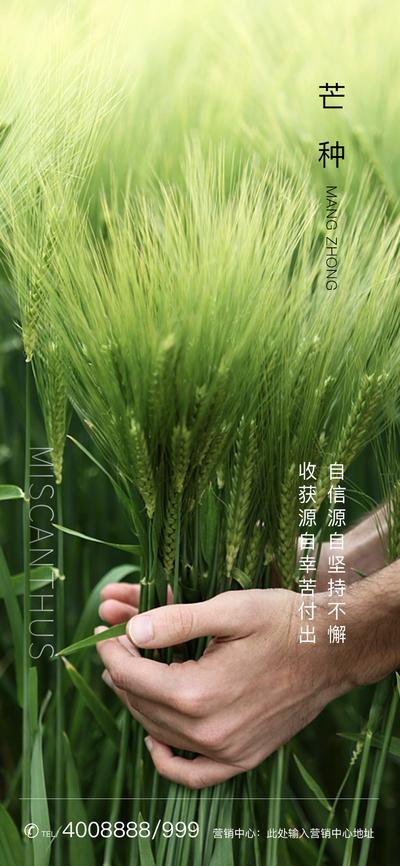南门网 海报 房地产 芒种 二十四节气 麦穗 手