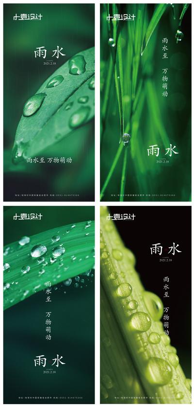 南门网 海报 二十四节气 雨水 系列 露珠 绿叶 