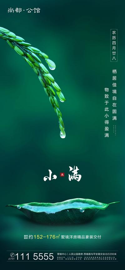 南门网 海报 房地产 小满 二十四节气 稻子 丰收 收获 水滴 夏天