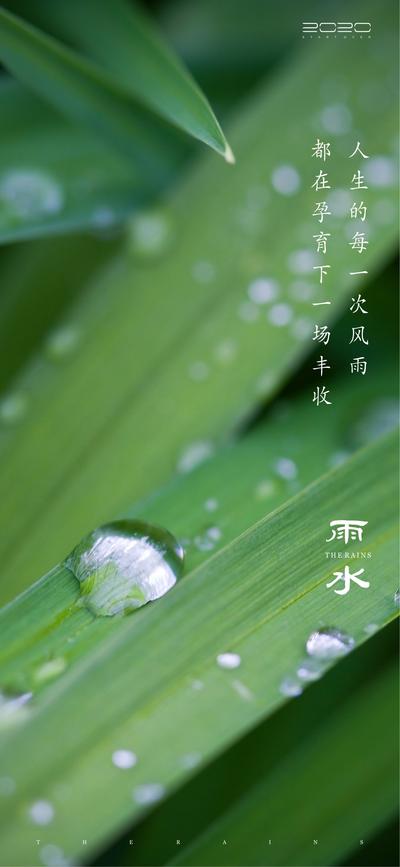 南门网 海报  房地产 二十四节气 雨水  绿叶 水珠 简约