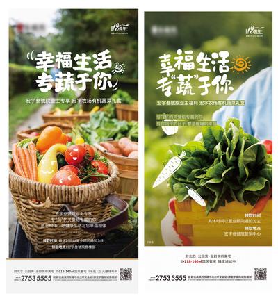 南门网 海报 房地产 送菜 蔬菜 果蔬 农场 活动