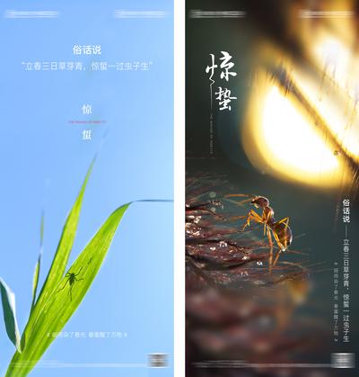 【南门网】海报 二十四节气  惊蛰 阳光 昆虫 系列