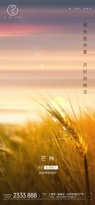 【南门网】海报 地产 二十四节气 芒种 小麦 秋收 稻谷