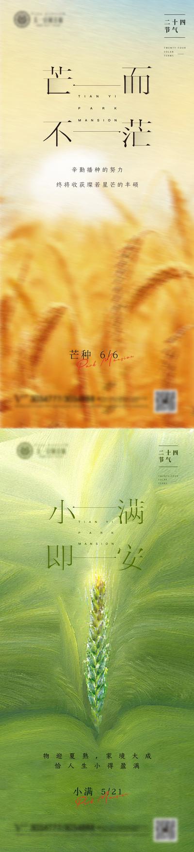 【南门网】海报 二十四节气 小满 芒种 水稻 小麦 插画 油画 质感 简约