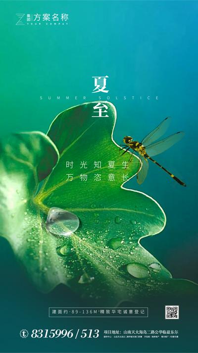 南门网 海报 房地产 二十四节气 夏至 小清新 叶子 水滴 蜻蜓