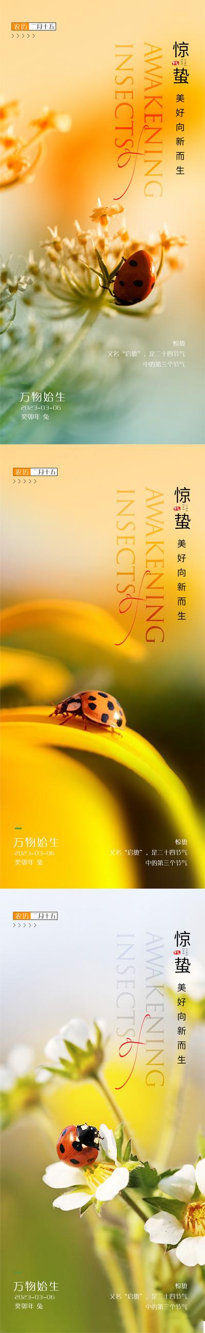 南门网 海报 地产 二十四节气 惊蛰 瓢虫 花朵 大气