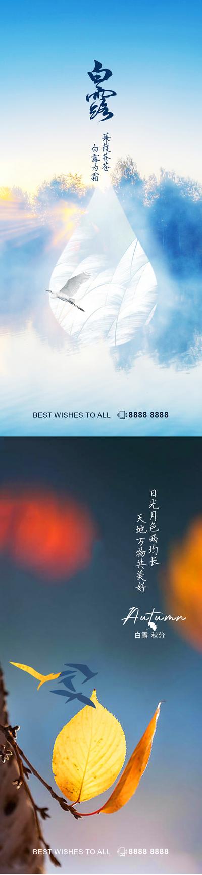 【南门网】海报 二十四节气 白露 秋分 芦苇 白鹭 叶子