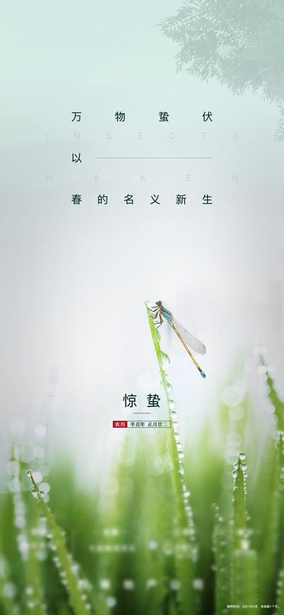 南门网 海报 地产 二十四节气 惊蛰 蜻蜓 水滴 简约