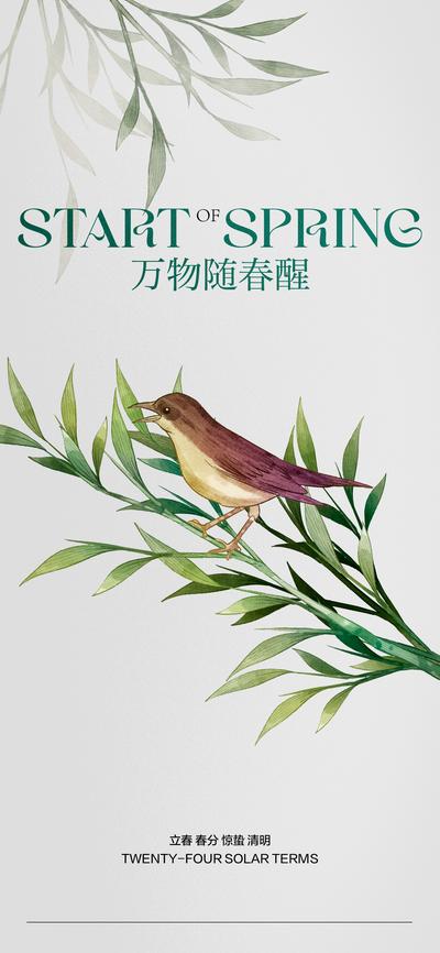 南门网 海报 二十四节气 立春 春分 惊蛰 清明 鸟 柳树枝 极简
