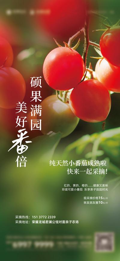 南门网 广告 海报 地产 采摘 番茄 西红柿 活动 暖场 亲子