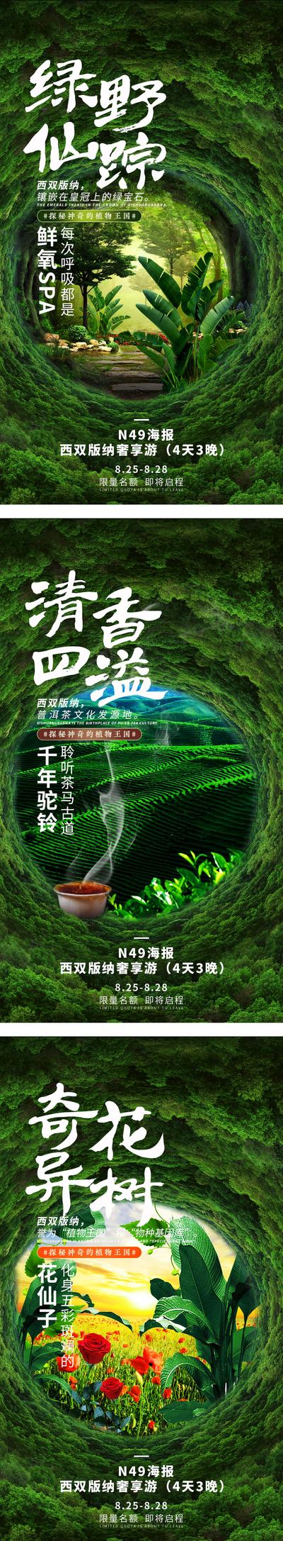 南门网 海报 旅游 西双版纳 云南 绿野仙踪 雨林 系列 茶园