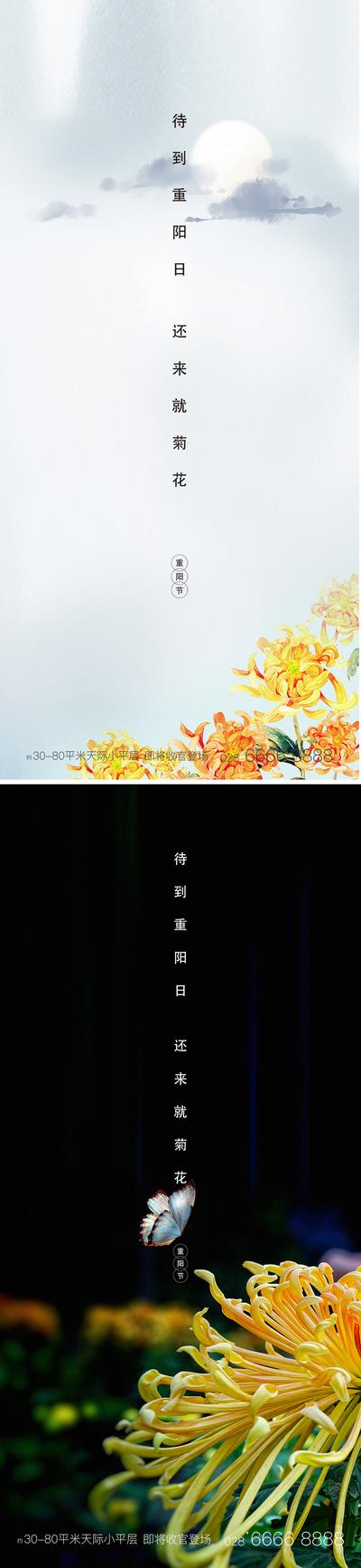 南门网 海报 中国传统节日 重阳节 简约 菊花 系列