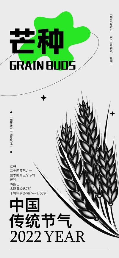 南门网 海报 二十四节气 芒种 麦穗 简约 极简