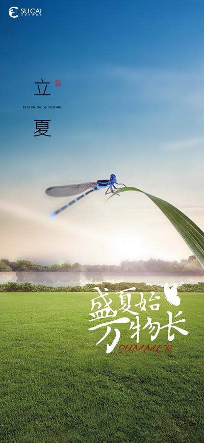 南门网 海报 二十四节气 立夏 自然 蜻蜓