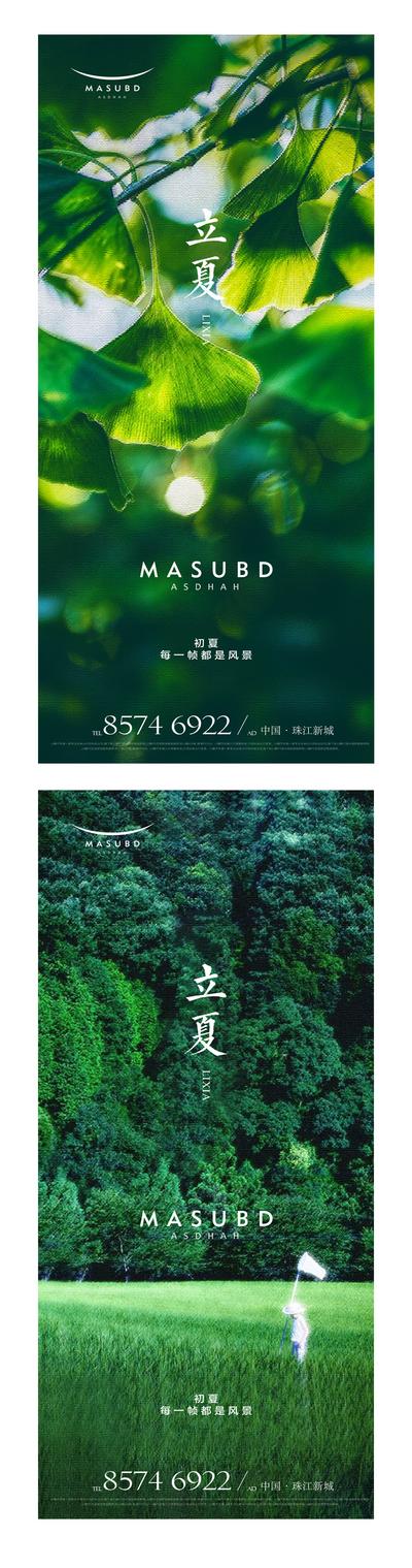 南门网 海报 二十四节气 立夏 银杏叶 树叶 森林 绿色