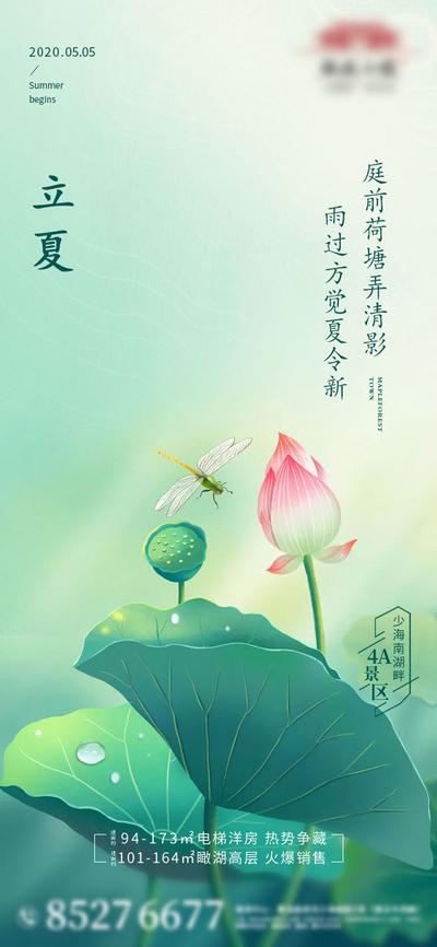 南门网 海报 房地产 二十四节气 立夏 荷花 蜻蜓 