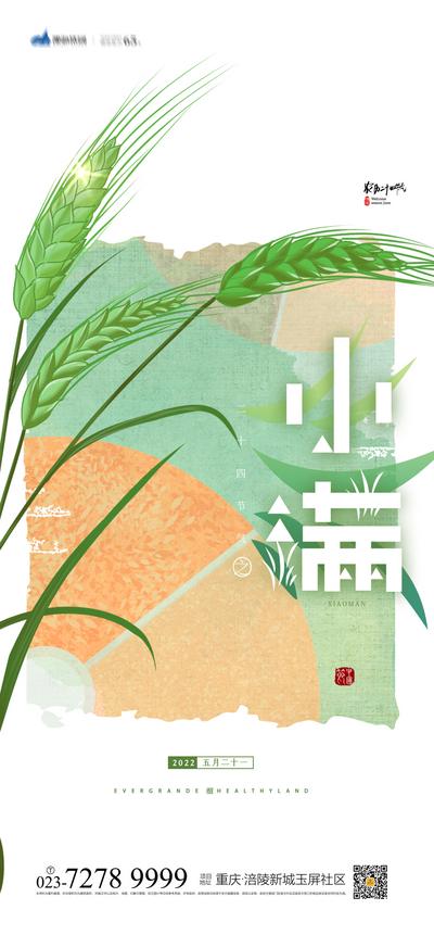 【南门网】海报 二十四节气 小满   稻谷 谷穗  简约 大气 