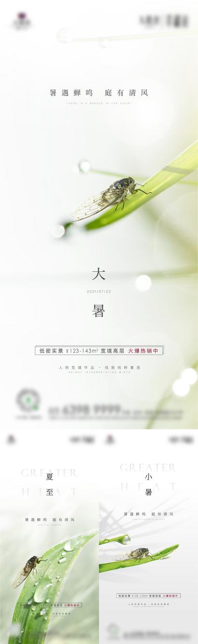 【南门网】海报 二十四节气 小暑 大暑  夏至 知了  叶子 系列