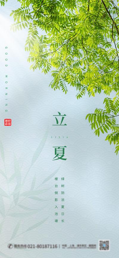 【南门网】海报 二十四节气 立夏   树叶 夏日 阳光