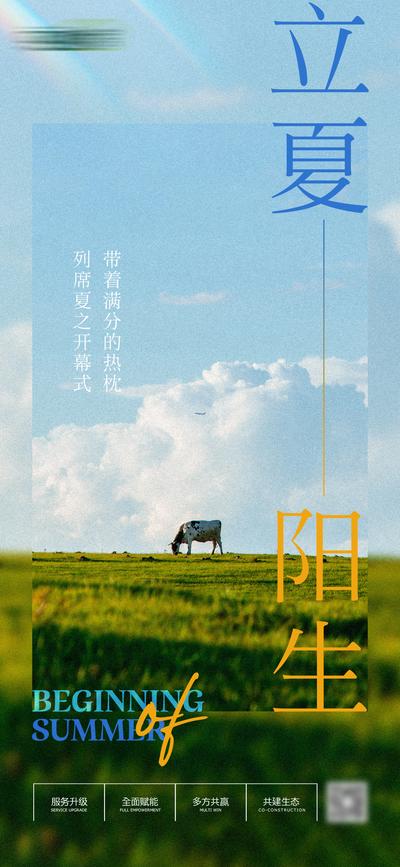 【南门网】海报 二十四节气 立夏 白云 奶牛 草原
