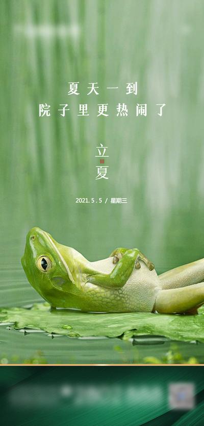【南门网】海报 地产 二十四节气 立夏  青蛙 夏天