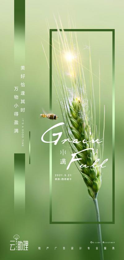 南门网 广告 海报 二十四节气 小满 麦子 麦穗 清新