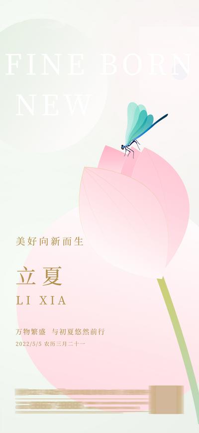 【南门网】广告 海报 节气 立夏 花瓣 蜻蜓