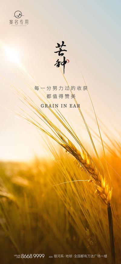 南门网 海报 节气 节日 芒种 单图 麦子