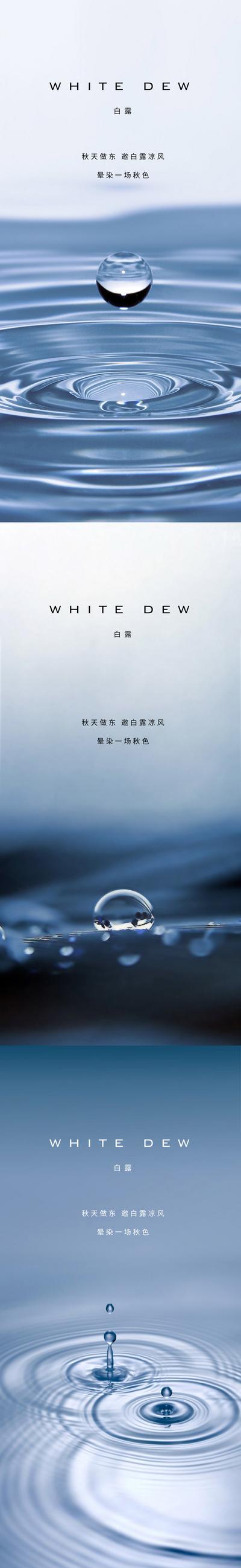【南门网】广告 海报 系列 白露 二十四节气 水珠 简约