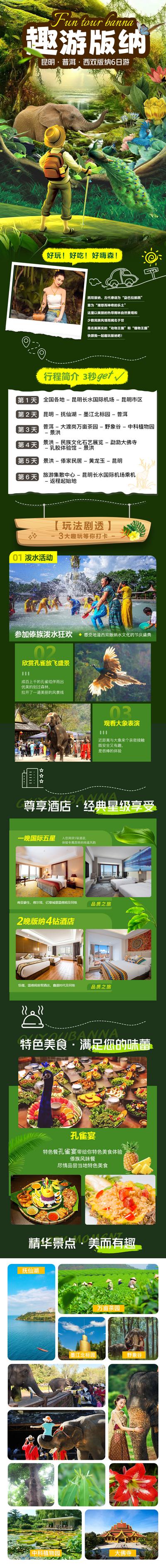 【南门网】广告 电商 长图 西双版纳 旅游 森林 趣味 孔雀 大象