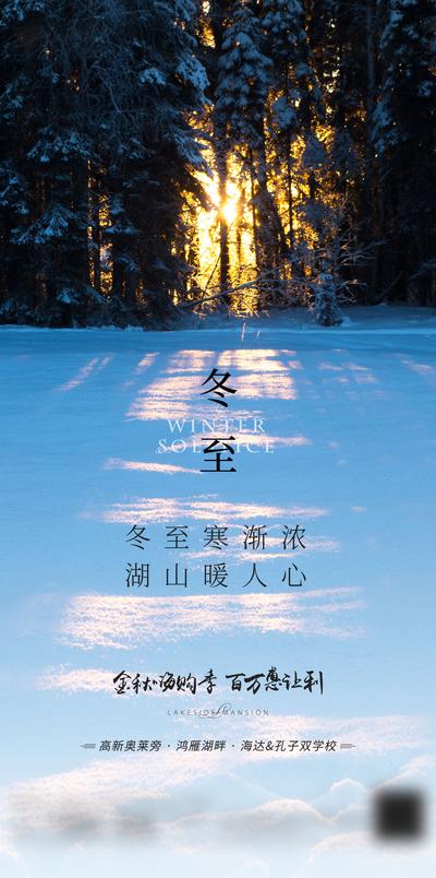 南门网 广告 海报 节气 冬至 森林 阳光