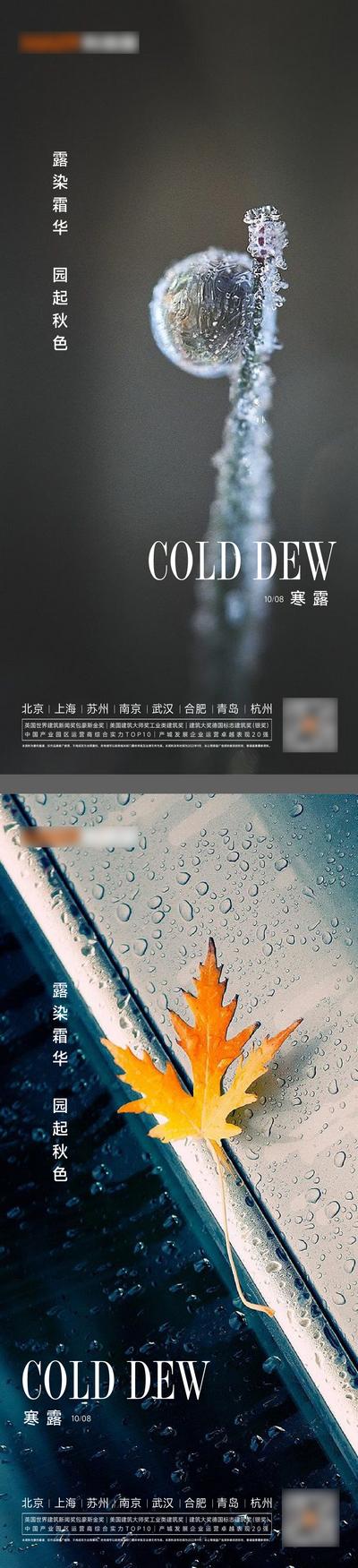 南门网 广告 海报 地产 寒露 节气 简约 水珠
