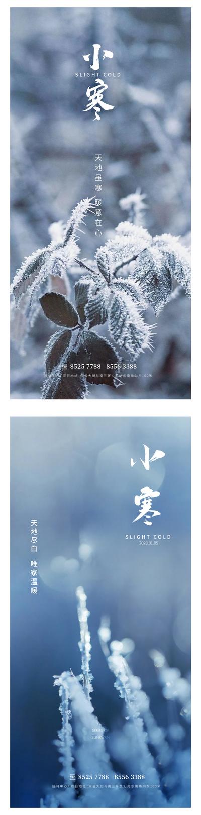 南门网 广告 海报 地产 小寒 节气 雪花 植物 野草 落霜