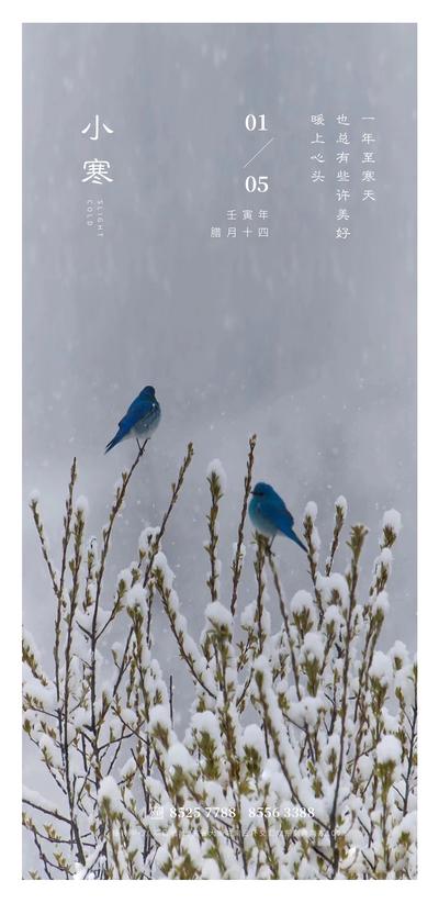 南门网 广告 海报 地产 小寒 节气 雪花 植物 下雪 鸟 枝头
