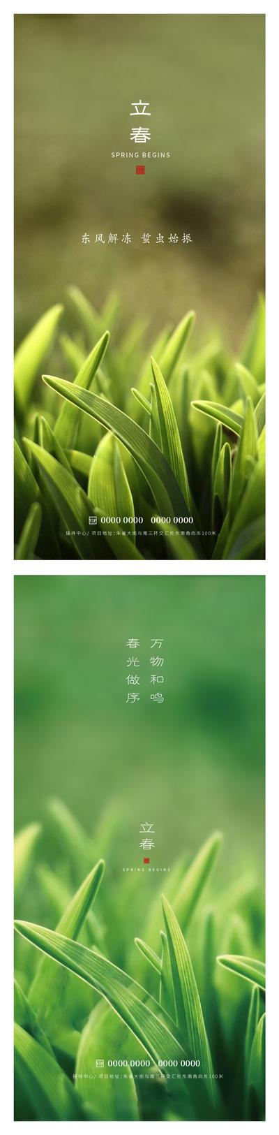 南门网 广告 海报 节日 立春 春天 绿叶 草 叶子 清新