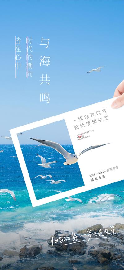 南门网 广告 海报 地产 海鸥 海洋 海景 现房 度假 清新