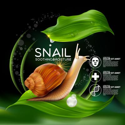 南门网 广告 海报 面膜 蜗牛 矢量
