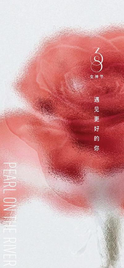 【南门网】38节 女神节 情人节 妇女节 花 玫瑰 高级 唯美 三八节