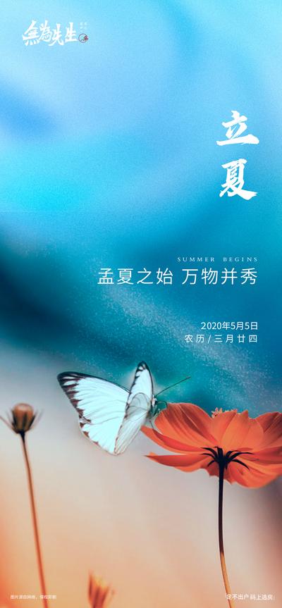 南门网 蝴蝶 广告 节气 立夏 24节气 鲜花