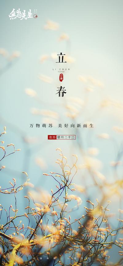 【南门网】微距 节气 鲜花 立春 节气海报 24节气