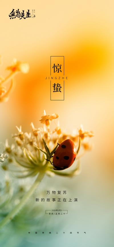 南门网 广告 海报 节气 惊蛰 24节气 鲜花 瓢虫