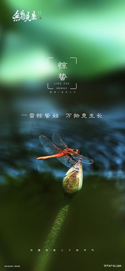 【南门网】广告 海报 节气 惊蛰 蝴蝶 微距