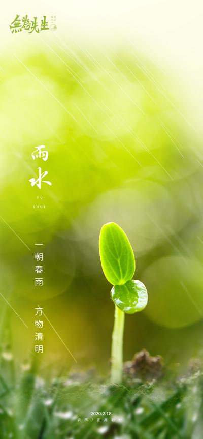 【南门网】广告 海报 节气 雨水 24节气 微距 生机 发芽